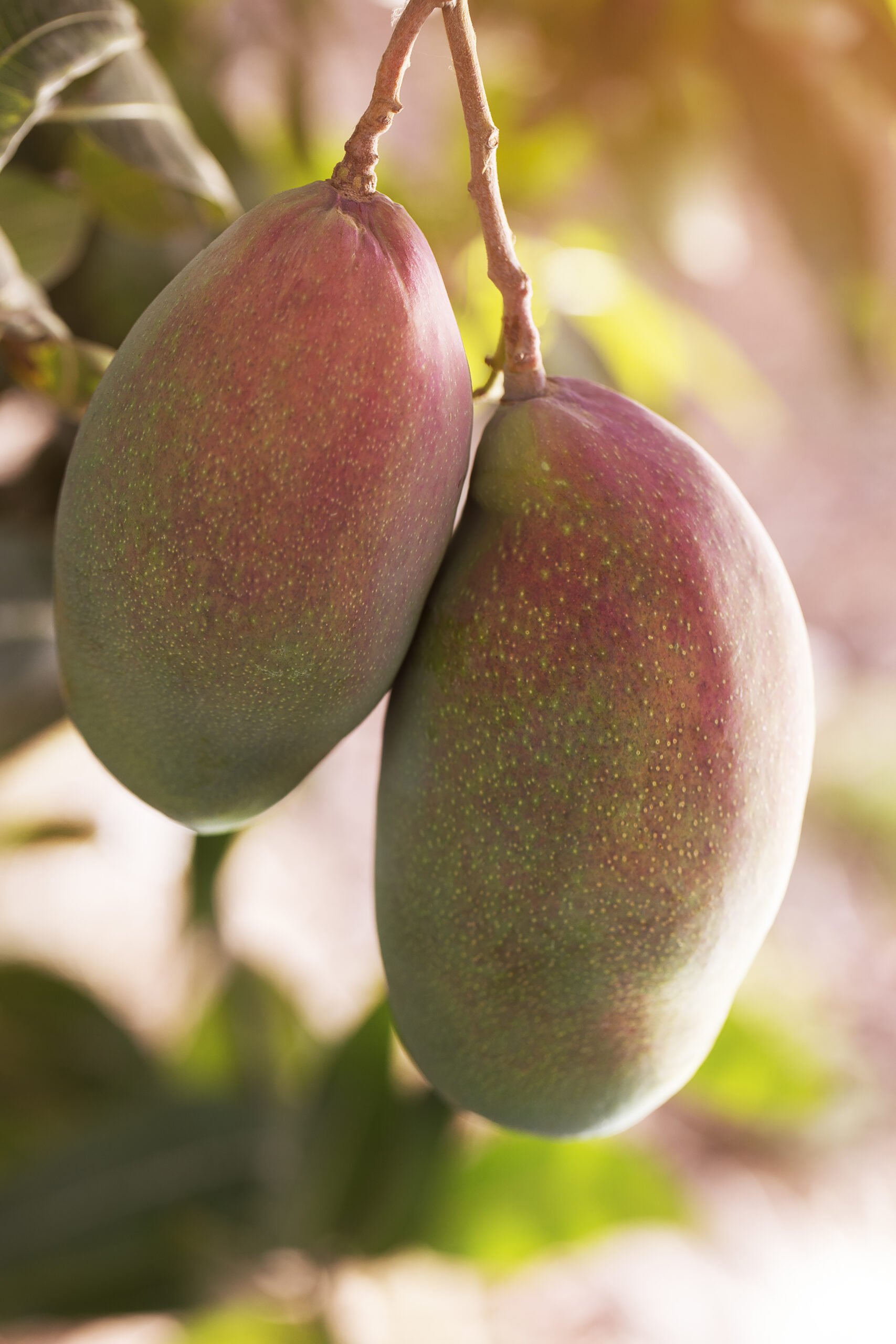 Agro exports grow 26,5% in the first two months of the year